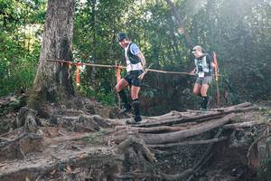 BIB: 
                            <button type="button" onclick="openModal(27750613)" class="btn btn-primary btn-sm float-right btn-popup" data-toggle="modal" data-target=".modal-high-quality">
                        <i class="fas fa-shopping-cart"></i> Add to Cart
                    </button>
                                            <button type="button" onclick="isThisMe(27750613, true)" class="btn btn-success btn-sm float-right btn-popup btn-isme hidden" data-toggle="tooltip" data-placement="bottom" title="นี่คือรูปของคุณใช่ไหม คลิกที่นี่เพื่อเอาเข้าอัลบั้ม">
                        <i class="fas fa-plus"></i> Add to album
                    </button>
                    <button type="button" onclick="isThisMe(27750613, false)" class="btn btn-warning btn-sm float-right btn-popup btn-isnotme hidden">
                        <i class="fas fa-ban"></i> Remove from album
                    </button>